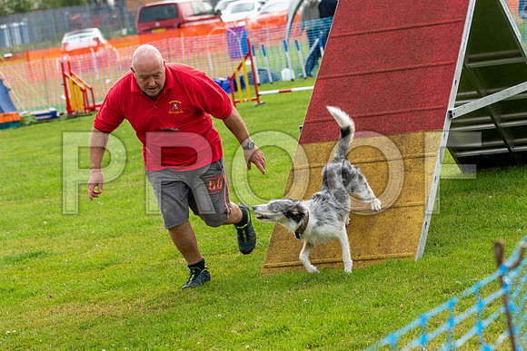 0536_SpringersFunDay2019_craigshawphoto