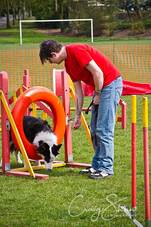 Hebden Happy Hounds RSPCA day