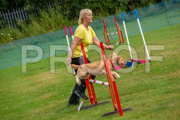 1712_SpringersFunDay2019_craigshawphoto