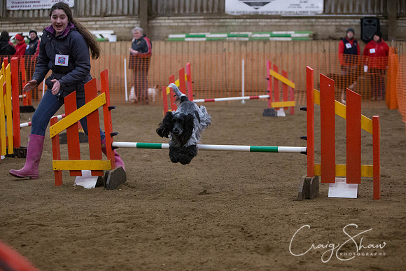 2778_springfling2015_bluplanetphoto
