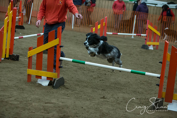 2633_springfling2015_bluplanetphoto