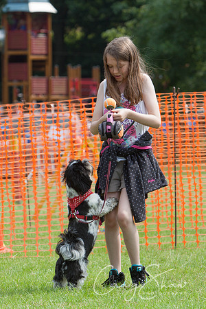 RSPCA Dog Day Afternoon