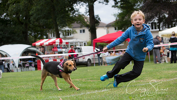 1915_BarkintheParkHuddersfield_2014_bluplanetphoto