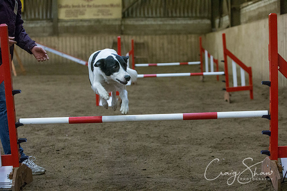 2570_springfling2015_bluplanetphoto