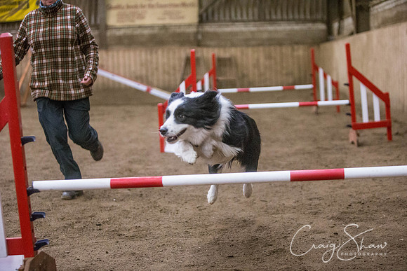 2647_springfling2015_bluplanetphoto