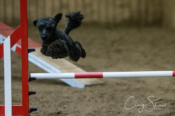 1408_springfling2015_bluplanetphoto