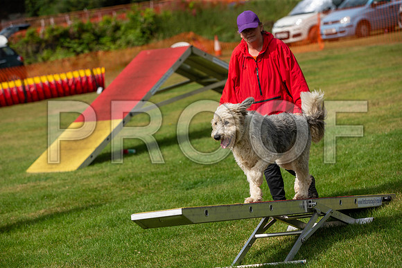 1175_SpringersFunDay2019_craigshawphoto