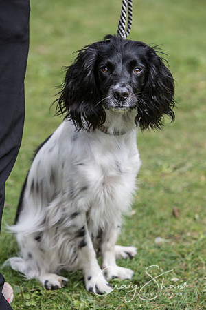 1107_BarkintheParkHuddersfield_2014_bluplanetphoto