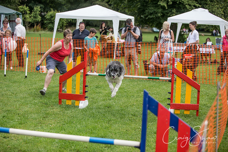 32_K9Partyinthepark2014_RSPCAHalifax_bluplanetphoto
