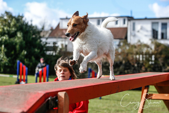 1797__SpringersFunDay_March2014_bluplanetphoto