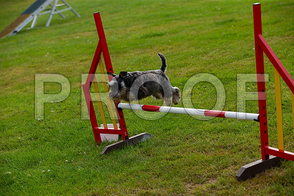 0754_SpringersFunDay2019_craigshawphoto