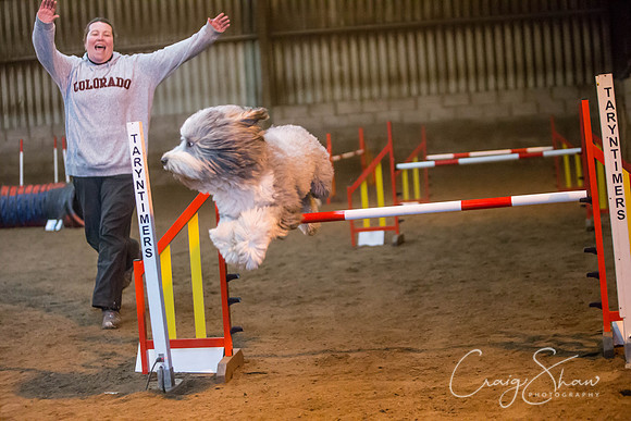 1121_springfling2015_bluplanetphoto