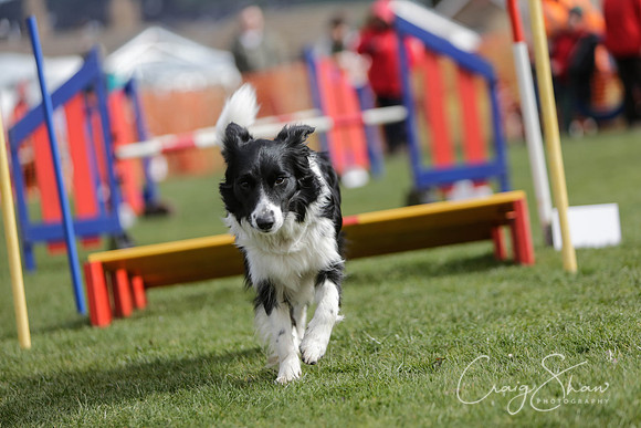 811__SpringersFunDay_March2014_bluplanetphoto