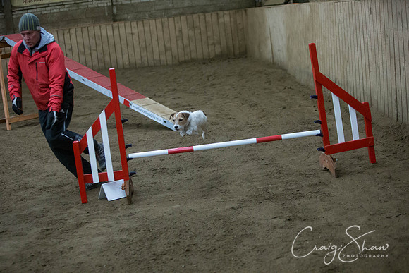 890_springfling2015_bluplanetphoto