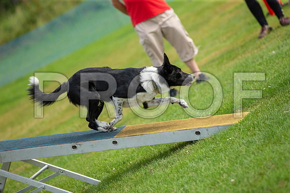 0904_SpringersFunDay2019_craigshawphoto