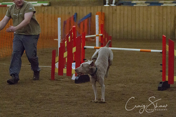 spring fling 2012-2349