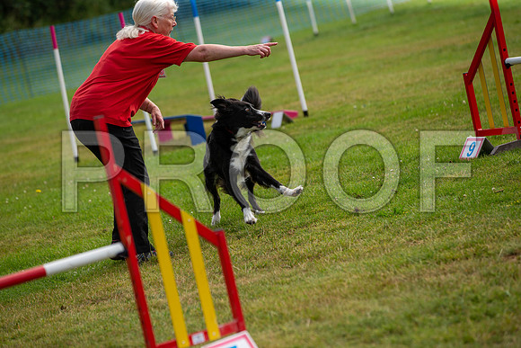 0696_SpringersFunDay2019_craigshawphoto