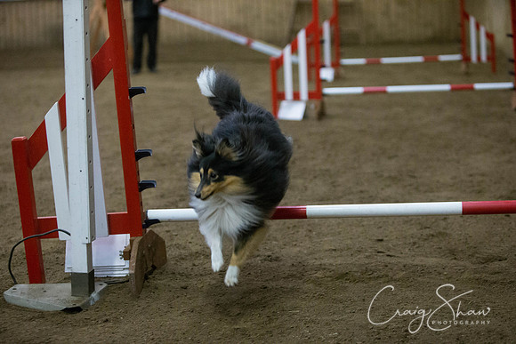 2773_springfling2015_bluplanetphoto