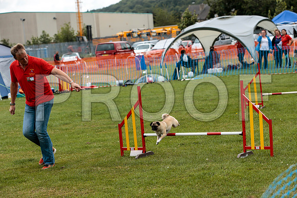 2618_SpringersFunDay2019_craigshawphoto