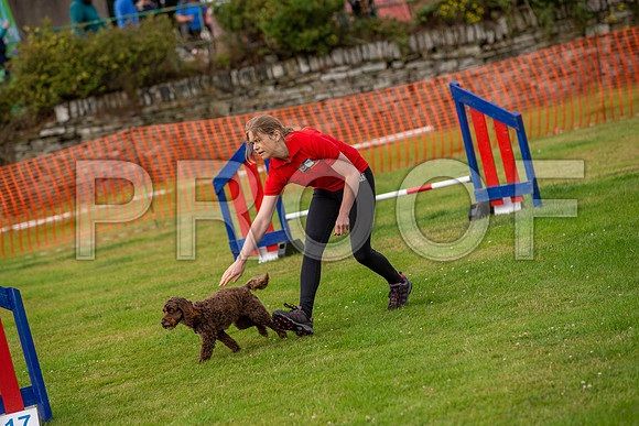 0564_SpringersFunDay2019_craigshawphoto