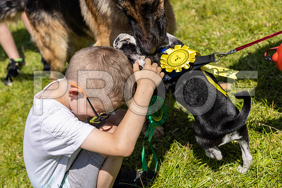 2135__PAWSFundogShow_July2022_cshaw
