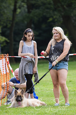 RSPCA Dog Day Afternoon