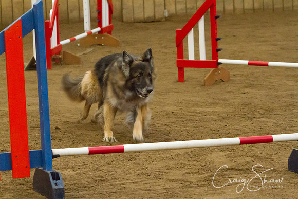 spring fling 2012-1388