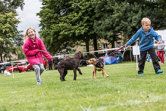 1906_BarkintheParkHuddersfield_2014_bluplanetphoto
