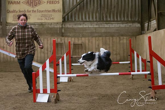 2642_springfling2015_bluplanetphoto