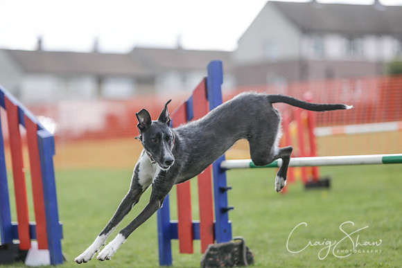 715__SpringersFunDay_March2014_bluplanetphoto
