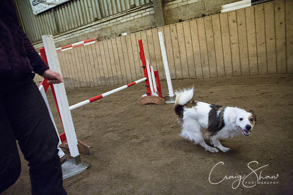 590_springfling2015_bluplanetphoto