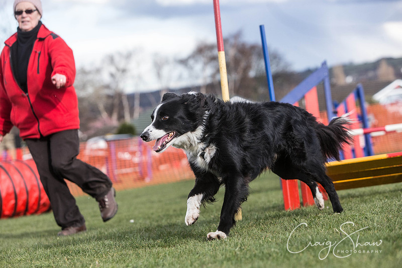 2234__SpringersFunDay_March2014_bluplanetphoto