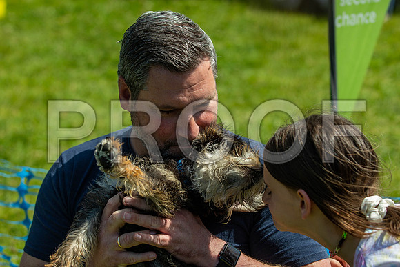 2770__PAWSFundogShow_July2022_cshaw
