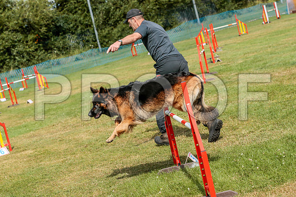 3354_SpringersFunDay2019_craigshawphoto