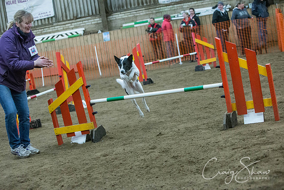 2492_springfling2015_bluplanetphoto