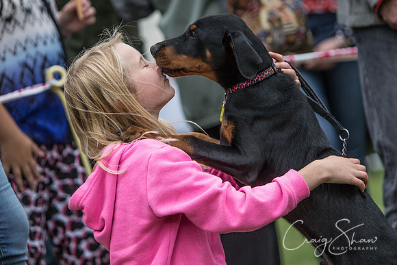 1012_BarkintheParkHuddersfield_2014_bluplanetphoto