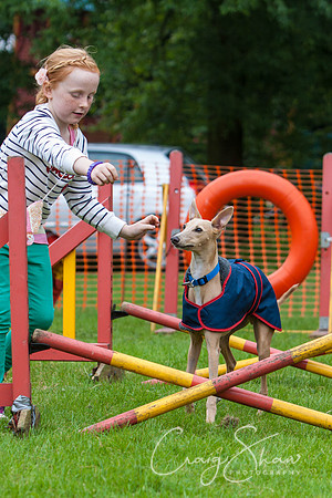 RSPCA Dog Day Afternoon