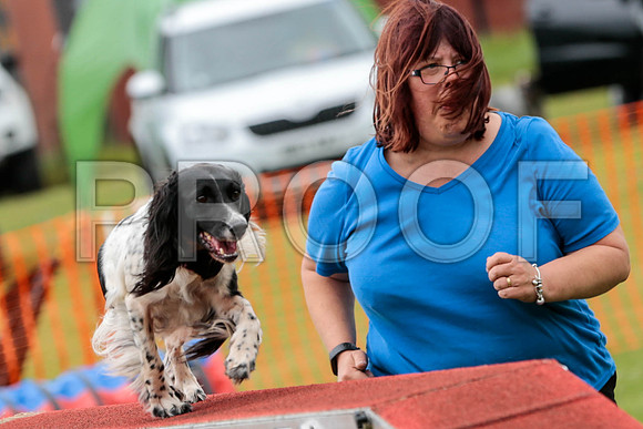 2626_SpringersFunDay2019_craigshawphoto