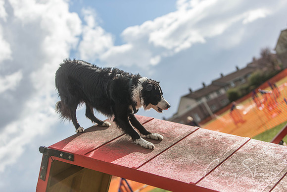 2144__SpringersFunDay_March2014_bluplanetphoto