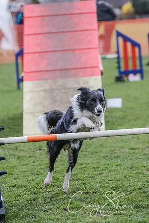 243__SpringersFunDay_March2014_bluplanetphoto