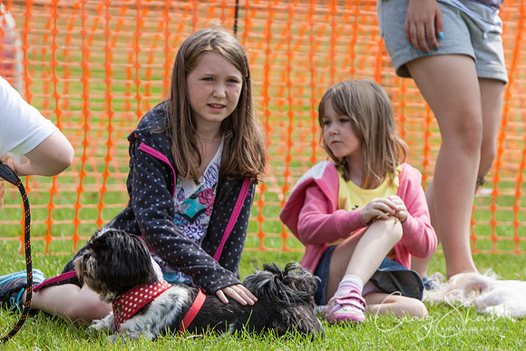 RSPCA Dog Day Afternoon