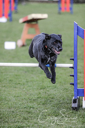 110__SpringersFunDay_March2014_bluplanetphoto