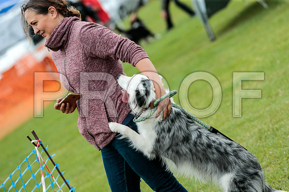 2735_SpringersFunDay2019_craigshawphoto