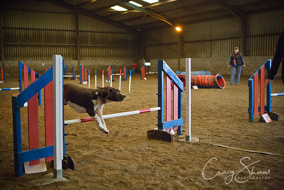 spring fling 2012-2257