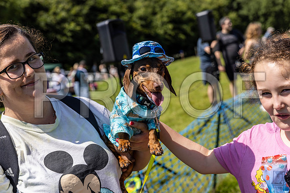 1692__PAWSFundogShow_July2022_cshaw