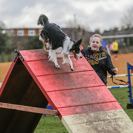 151__SpringersFunDay_March2014_bluplanetphoto
