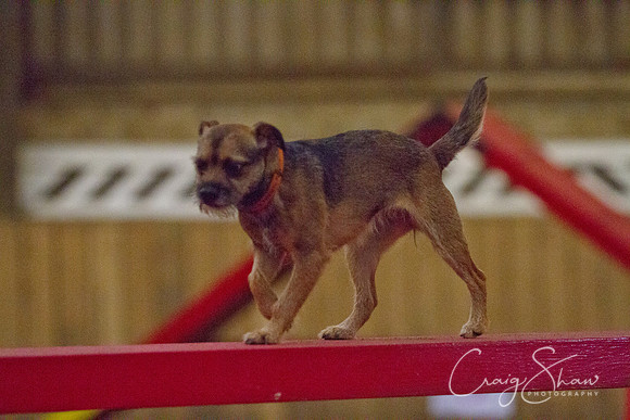 spring fling 2012-2169