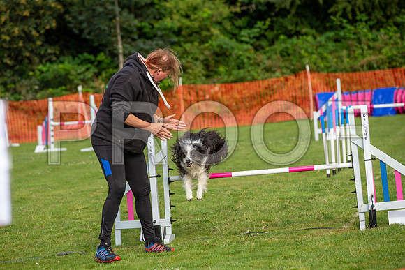 0231_SpringersFunDay2019_craigshawphoto