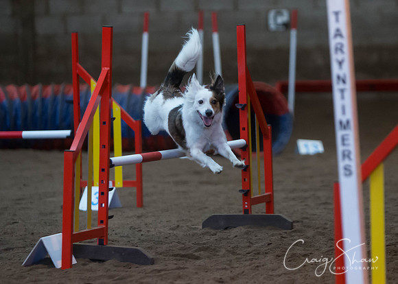 2397_springfling2015_bluplanetphoto