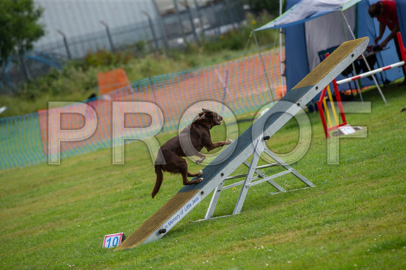0829_SpringersFunDay2019_craigshawphoto